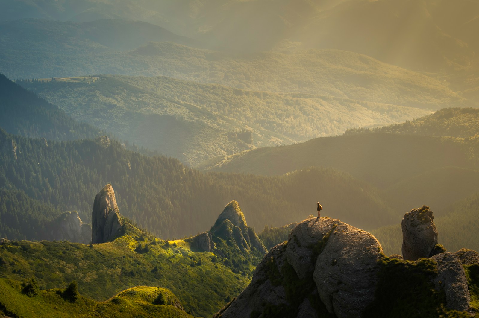 Photography Tips & Tutorials